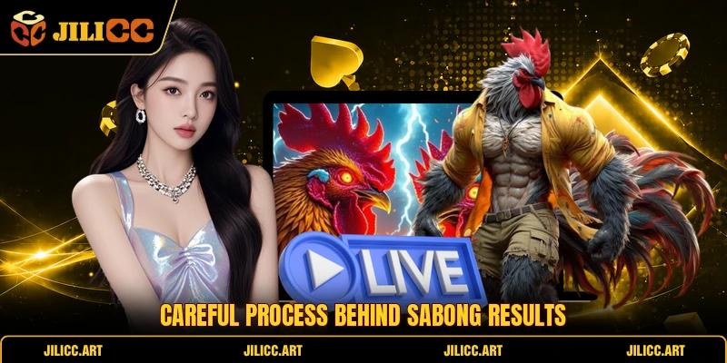 Careful Process Behind Sabong Results